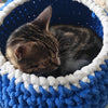 A small tabby kitten is nestled inside a blue and white crocheted pot.