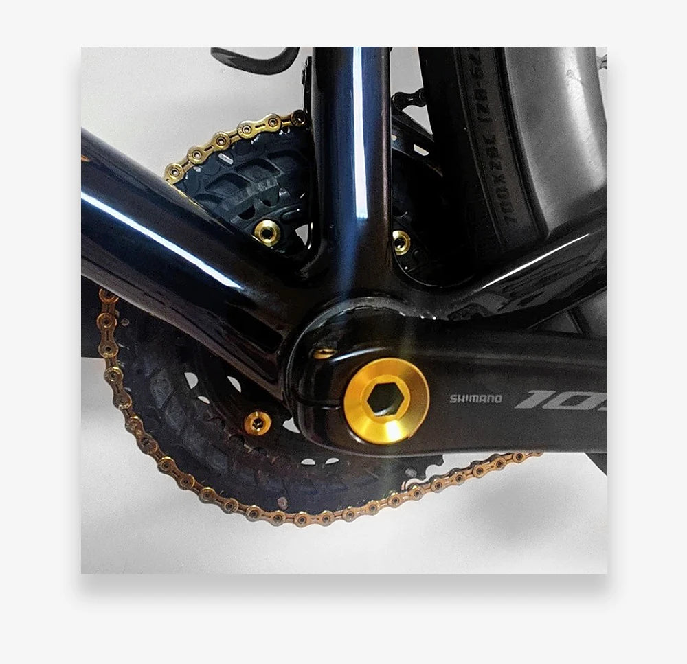 Close-up of a black bicycle chainring with gold titanium alloy bolts and a Shimano 10-tooth chainring.
