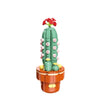 DIY Succulent Plant Building Block Bouquet