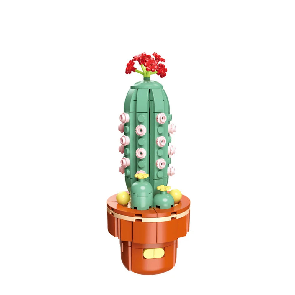 DIY Succulent Plant Building Block Bouquet