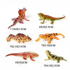 A collection of realistic animal figurines including a reddish-orange lizard, a green lizard, a brown tortoise, and a reddish