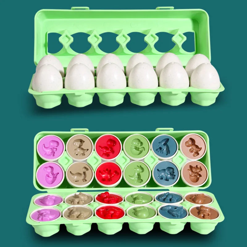 A green plastic tray holding multiple matching white eggs and various colored eggs for a Montessori toy set