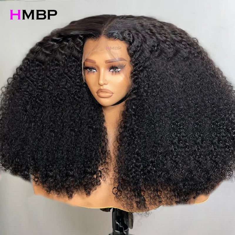 Glueless Kinky Curly Lace Front Wig