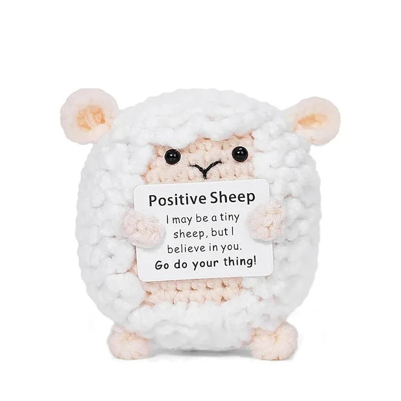 Handmade Crochet Pocket Hug Doll with Custom Message