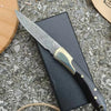VG10 Damascus Steel Folding Knife with Water Buffalo Horn Handle