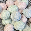 Wolkenförmiges Stress-Relief-Squishy-Spielzeug