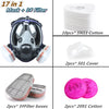 Full Face Chemical Respirator Mask with Anti-Fog Visor
