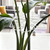 A close-up of a sturdy metal Monstera plant support frame with large green leaves in a modern indoor setting.