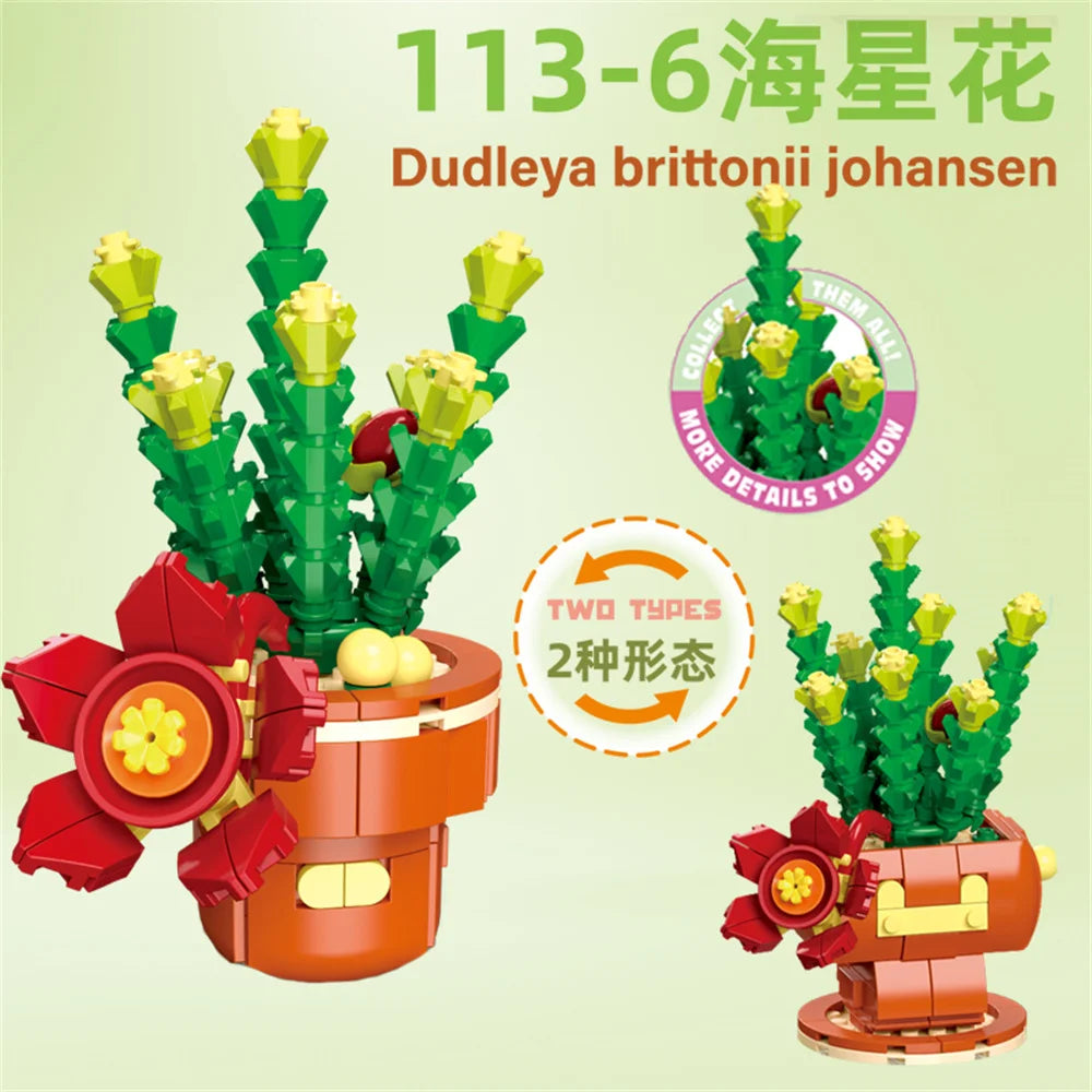 DIY Succulent Plant Building Block Bouquet
