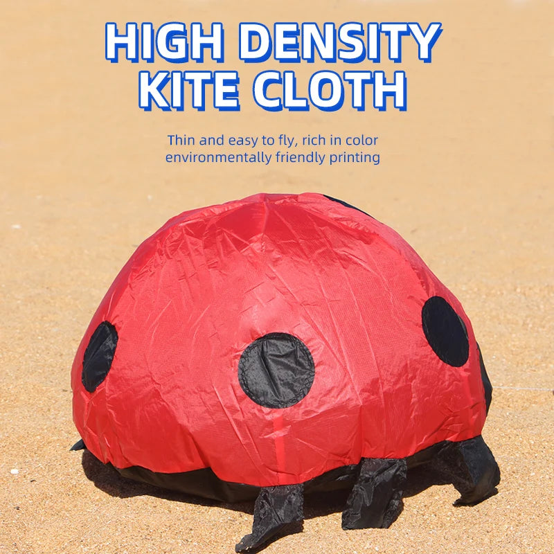 Ladybird Ground Kite for Outdoor Family Fun