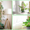 A set of durable plastic plant moss poles used for climbing indoor plants displayed in a bright room.