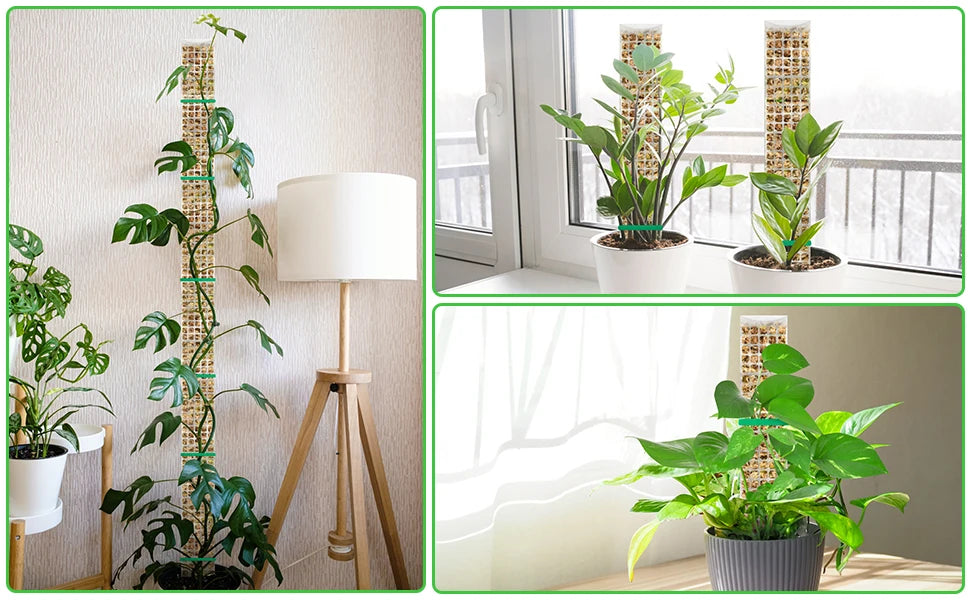 A set of durable plastic plant moss poles used for climbing indoor plants displayed in a bright room.