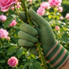 A hand wearing green gardening gloves gently holds a thorny stem with pink roses in the background.