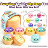 A box of dumpling squishy mystery toys showing various colors and textures ready to be selected.