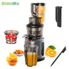 Slow Masticating Cold Press Juicer with Wide Feed Chute