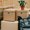 Poignées à Boucle en Carton Plastique Haute Résistance pour Boîtes à Emporter