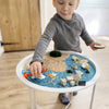 Partitioned Sensory Play Bin for Toddlers