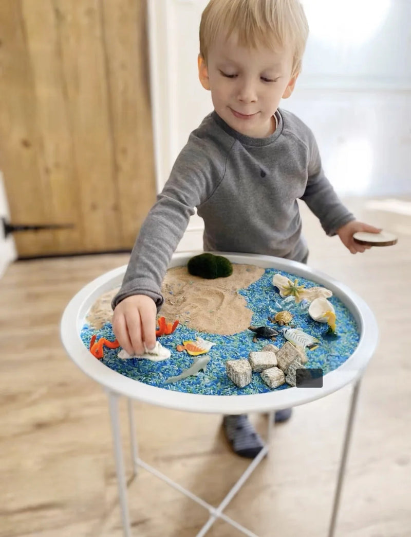 Partitioned Sensory Play Bin for Toddlers