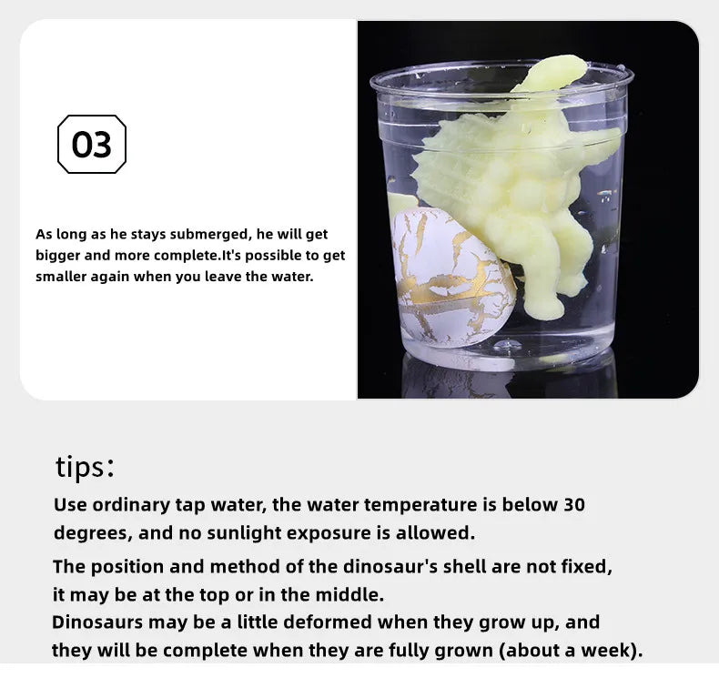 Magic Hatching Dinosaur Eggs – Grow Your Own Dino