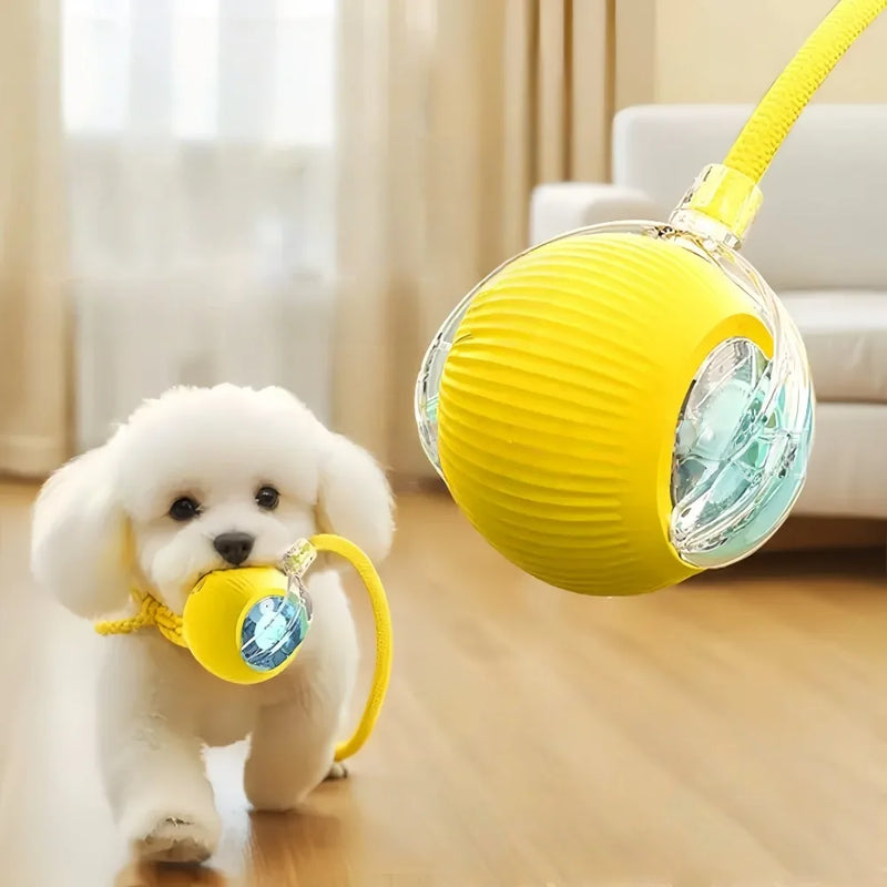 Automatic Interactive Pet Rolling Ball Toy