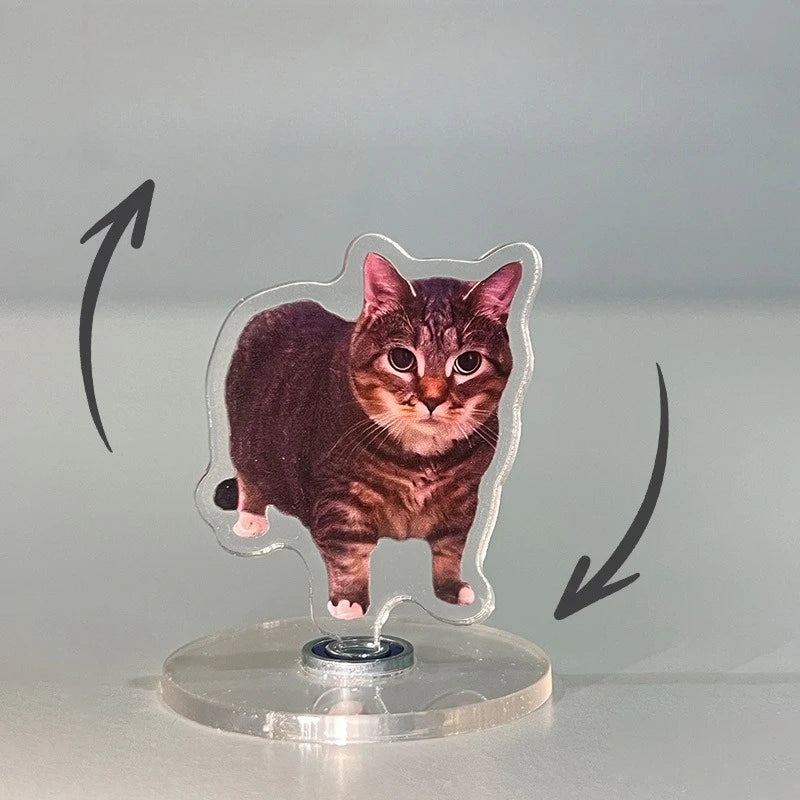 A small, dark brown tabby cat figure mounted on a clear acrylic base with swirling arrows.