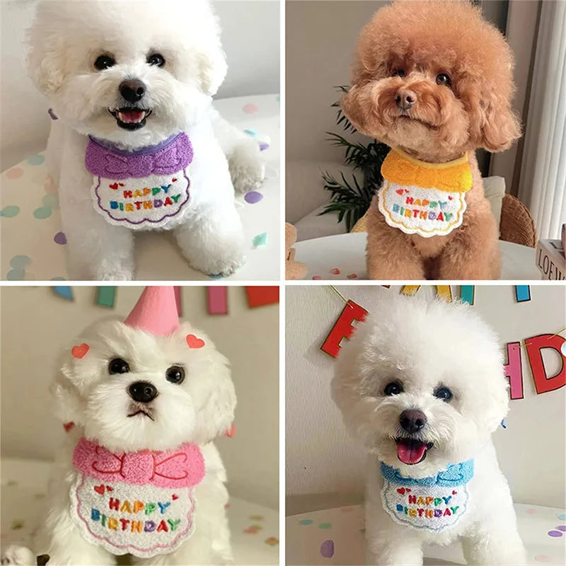 A set of pet birthday party items including a hat and bib for a small white dog