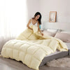 A fluffy cream-colored goose and duck down comforter with a cotton cover displayed on a bed.