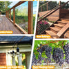 Various outdoor features including a garden fence, stair railings, light guide wire, and plant climbing frame.