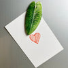 Acrylic Leaf Magnets Set - Fridge Decor