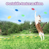Interactive Cat Toy Launcher with Flying Discs