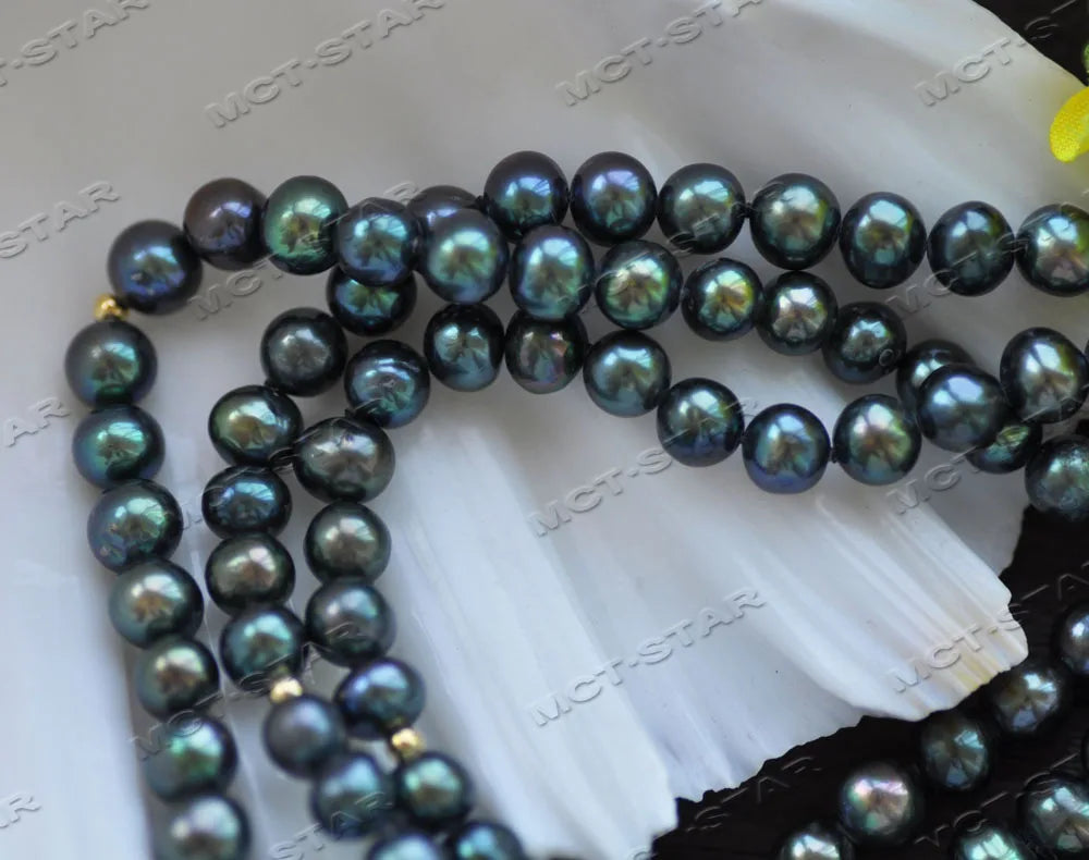 A strand of dark blue iridescent freshwater pearls draped across a white shell.