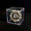 A silver metal spinning top with a launcher is displayed inside a clear acrylic box.