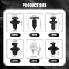 Universal Auto Fastener Clip Assortment Kit for Car Body Trim and Panels