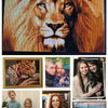 Modern Diamond Painting Kits - Fruit, Floral, and Abstract Designs