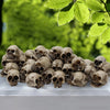 Set of 20 Gothic Skull Figurines for Halloween Decor