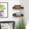 Une décoration avec une plante en pot, de l'art encadré et des étagères en bois avec une petite photo encadrée.