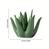 Ceramic Aloe Vera Jewelry Organizer with Ring Holder