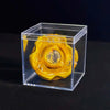 A yellow metal spinning top is displayed inside a clear acrylic box.