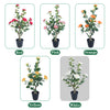 Árbol Topiario de Camelia de 85 cm con Maceta Decorativa