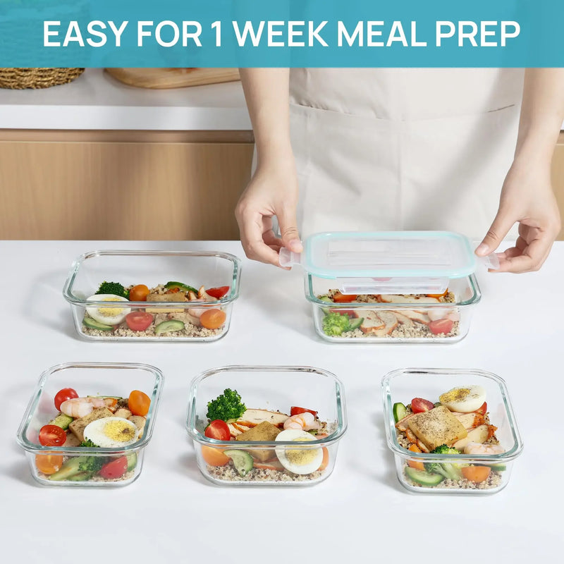 High Borosilicate Glass Lunch Box