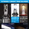 Vergleich eines leistungsstarken LED-Scheinwerferglühfadens und einer Halogen-Glühlampe, der Helligkeit und Leistung hervorhe