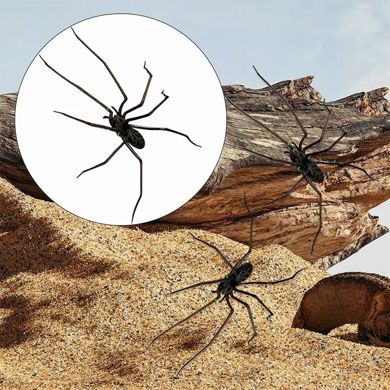 Araignée réaliste dans un inset circulaire et vue complète sur le sable, utilisée comme aimant de réfrigérateur.