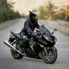 Cat Ear Full Face Motorcycle Helmet with Removable Ears