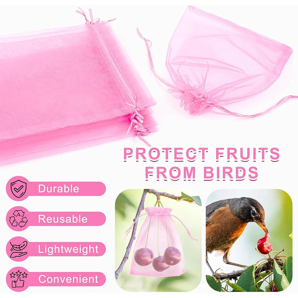 Pink organza drawstring bags used to protect fruits from birds