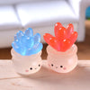 A pair of luminous succulent cactus miniatures in blue and orange housed in clear glass pots.