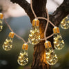 String lights with visible filaments are draped on a tree branch.