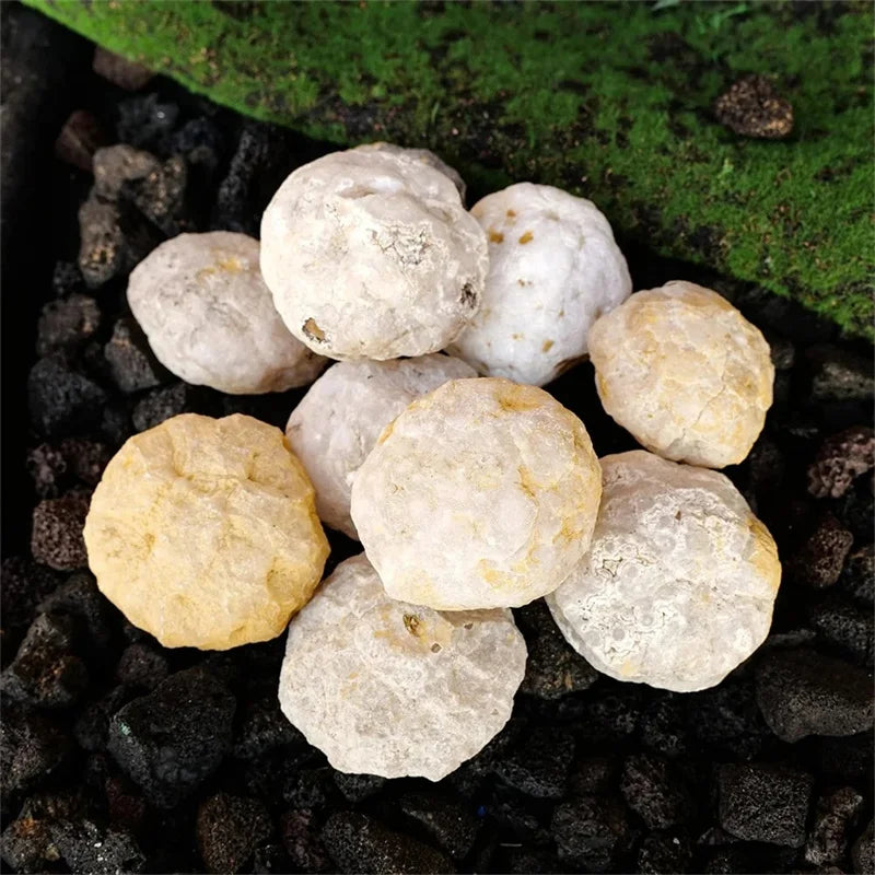 A cluster of natural white and yellowish agate geode crystals resting on dark volcanic rock and green moss.