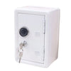 A white vintage metal piggy bank with a combination lock and key.