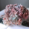 Preserved Hydrangea Flower Heads for Crafts and Home Decor