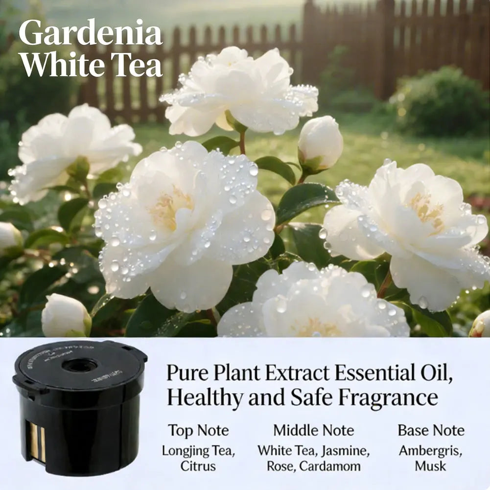 A black smart car diffuser with ambient light and auto mist is shown in a garden setting.